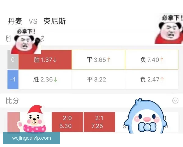 世界杯竞猜赔率全解析及热门赛果预测指南详尽分析